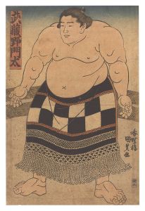 Sumo Wrestler Musashino Monta