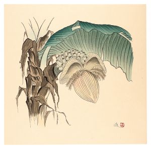 実芭蕉