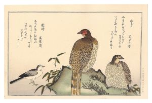 Utamaro / Myriad Birds: A Kyoka Competition / Copper Pheasants and Wagtail 【Reproduction】 [百千鳥狂歌合　山鳥 鶺鴒【復刻版】]