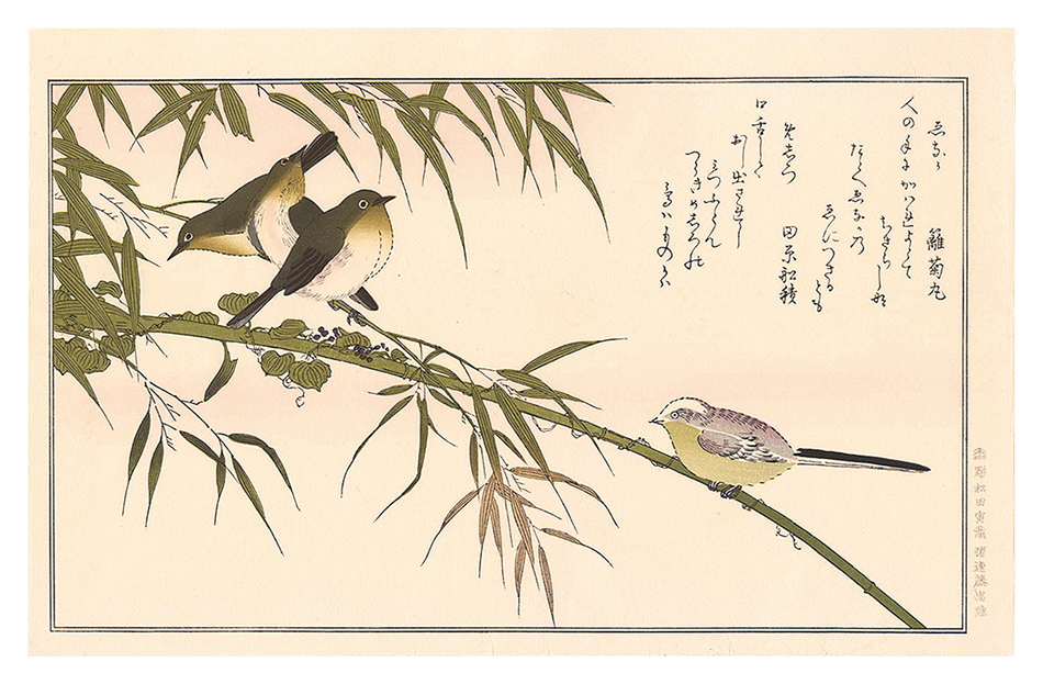 Utamaro “Myriad Birds: A Kyoka Competition / Long-tailed Tit and Japanese White-Eyes 【Reproduction】”