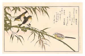 Utamaro / Myriad Birds: A Kyoka Competition / Long-tailed Tit and Japanese White-Eyes 【Reproduction】 [百千鳥狂歌合　えなか めしろ【復刻版】]