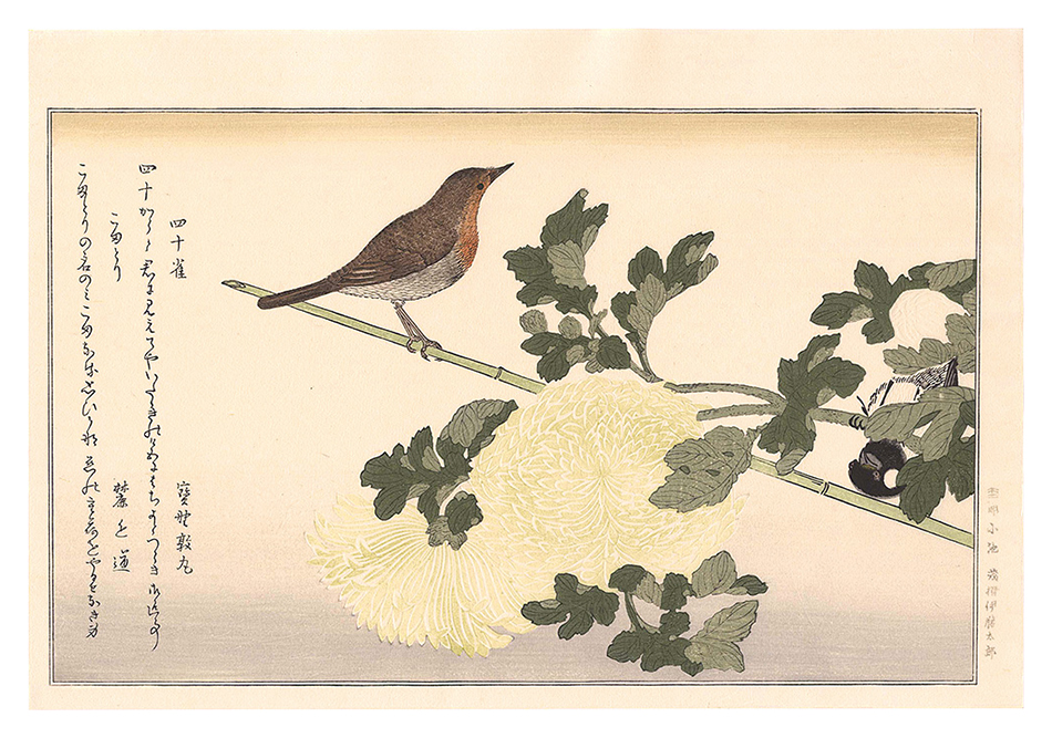 Utamaro “Myriad Birds: A Kyoka Competition / Manchurian Great Tit and Japanese Robin 【Reproduction】”