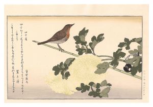 Utamaro / Myriad Birds: A Kyoka Competition / Manchurian Great Tit and Japanese Robin 【Reproduction】 [百千鳥狂歌合　四十雀 こまどり【復刻版】]