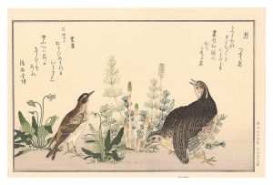 Utamaro / Myriad Birds: A Kyoka Competition / Quail and Skylark 【Reproduction】 [百千鳥狂歌合　鶉 雲雀【復刻版】]