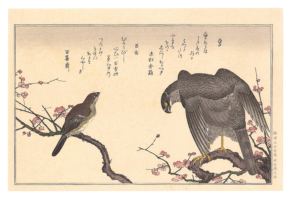 Utamaro “Myriad Birds: A Kyoka Competition / Falcon and Shrike 【Reproduction】”