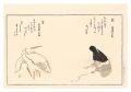 Myriad Birds: A Kyoka Competit......