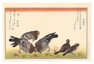 Utamaro / Myriad Birds: A Kyoka Competition / Sparrows and Pigeons 【Reproduction】 [百千鳥狂歌合　むら雀 鳩【復刻版】]