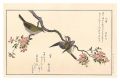 Myriad Birds: A Kyoka Competit......