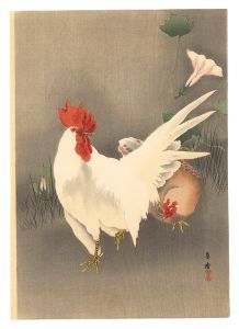 鶏（仮題）