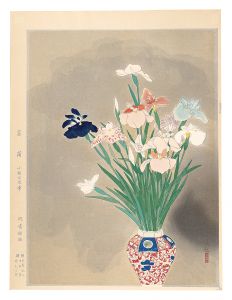 Kobayashi Kokei / iris