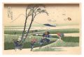 Thirty-six Views of Mount Fuji......