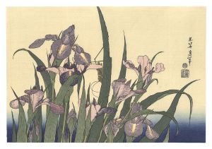 Hokusai / Blossoming Irises and Grasshopper 【Reproduction】 [あやめにきりぎりす【復刻版】]