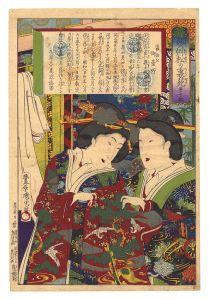 Kunichika / The Back Garden of Pine Trees and Hollyhocks / No. 10: The Wife of Lord Ieharu [葵草松の裏苑　第十快 家治公御台所]