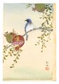 Bird and Pomegranate