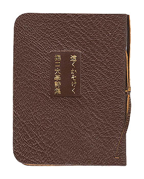“Far Away in the Flesh  Horiguchi Daigaku Poetry Collection” Horiguchi Daigaku