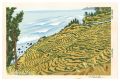 Noto Senmaida (Rice Terraces)