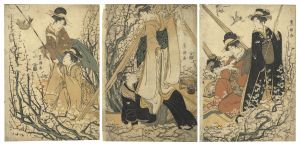 豊国初代「美人画」