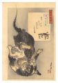 Gekko's Miscellany / The Rat, ......