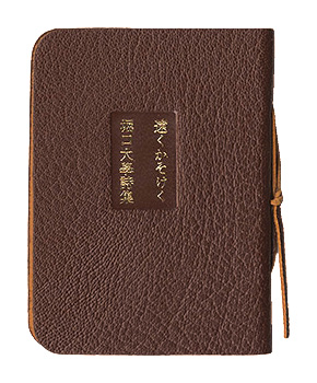 “ Far Away in the Flesh Horiguchi Daigaku Poetry Collection” Horiguchi Daigaku
