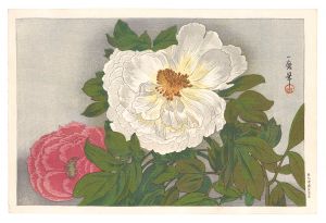 Peony