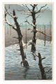 Taisho Pond, Shinano
