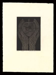 Karasawa Hitoshi / Paradise Lost