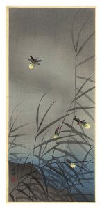 Fireflies