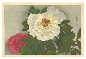 Peony