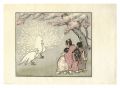 The White Peacock