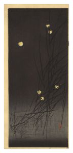 Fireflies (tentative title)