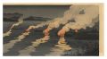 Cormorant Fishing (tentative t......