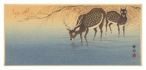 Pair of Deer