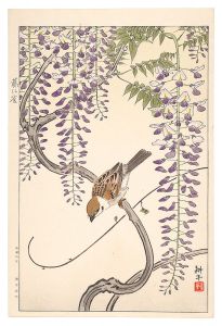 Sparrow and Wisteria