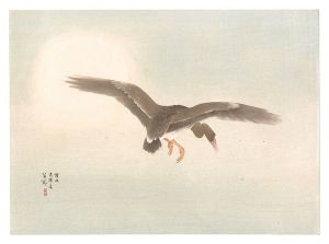 西沢笛畝「征雁一聲」