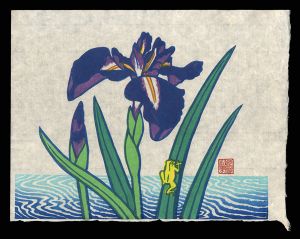 清水遠流「菖蒲に蛙　（仮題）」