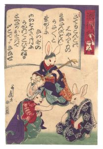 流行兎けん