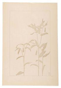 杉浦非水「宝鐸草」