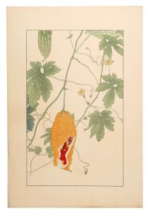 杉浦非水「蔓茘枝」