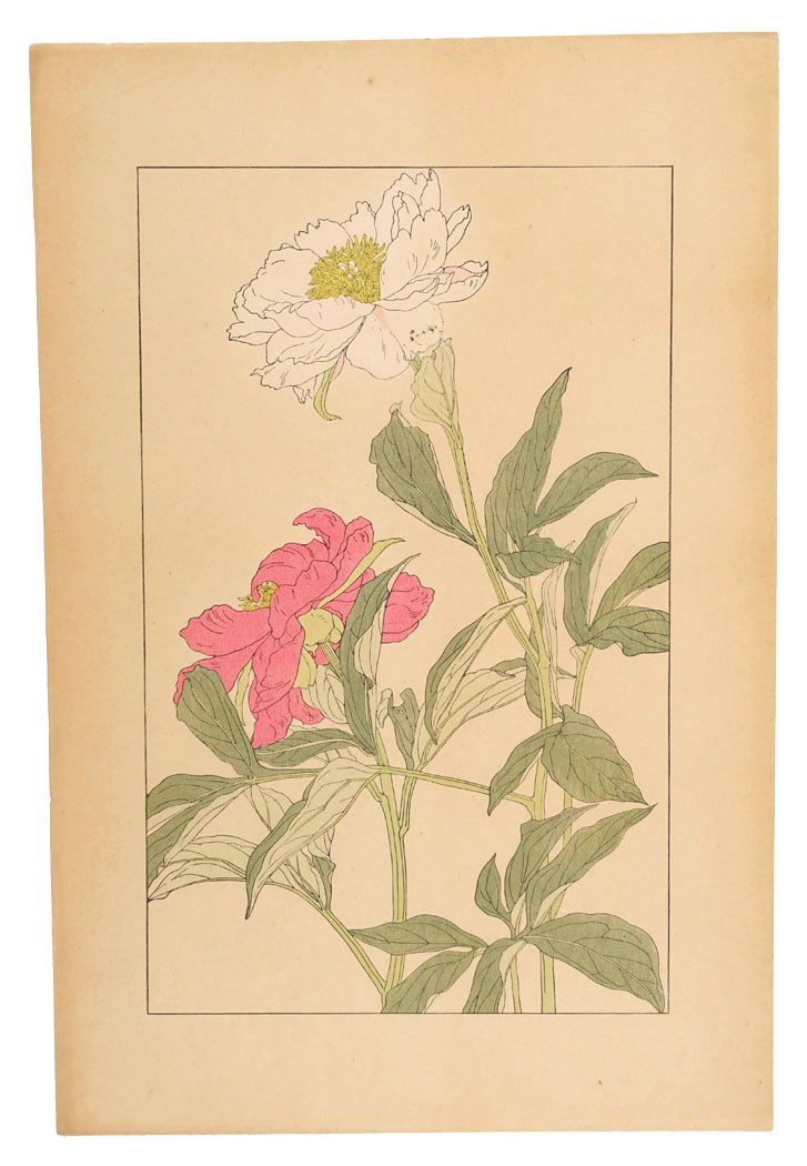 杉浦非水「芍薬」