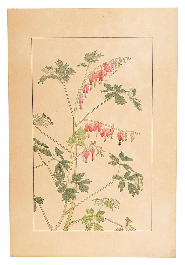 杉浦非水「華鬘草」