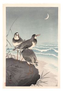 Ohara Koson(Shoson) / Plover near the Seaside with a Crescent Moon
