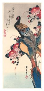 Hiroshige I / Pheasant and Chrysanthemums【Reproduction】 [菊に雉子【復刻版】]