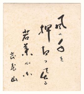 Musashiyama Takeshi / Shikishi