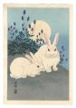 Rabbits and the Moon