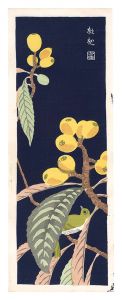 Tokuriki Tomikichiro / Loquat