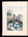 Japanese Alpine Plants / Hairy......
