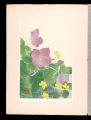 Japanese Alpine Plants / Twofl......
