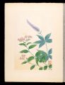 Japanese Alpine Plants / Veron......