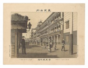 Watanabe Tadahisa / Famous Places in Tokyo / Kyomachi-dori, Yoshiwara [東京名所　吉原京町通]
