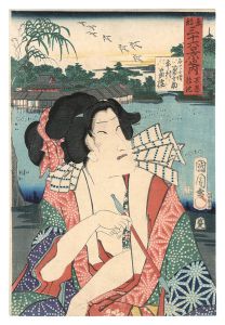 Kunichika / Thirty-six Views of the Eastern Capital / Shinobazu Pond [東都三十六景之内　不忍の池]